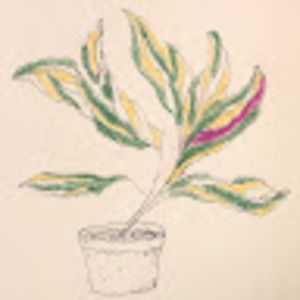 Meet your Posher, Jack